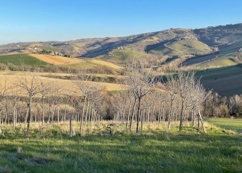 Foto 4 - Casa indipendente contrada san venanzio, Castignano - foto 4