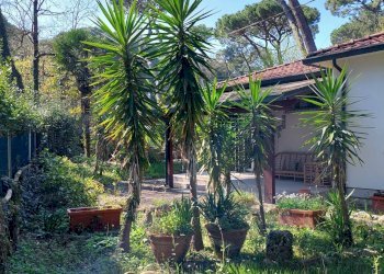 Foto 12 - Villa a Schiera Viale Delle Nazioni
 
279, Ravenna - foto 12