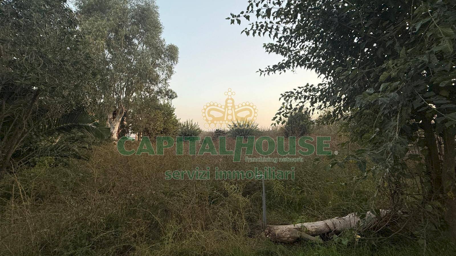 Foto 1 - Terreno agricolo scisciano, Scisciano - foto 1