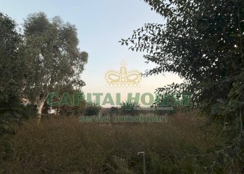 Foto 7 - Terreno agricolo scisciano, Scisciano - foto 7