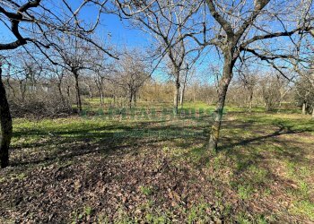 Foto 2 - Terreno agricolo saviano, Saviano - foto 2