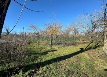 Foto 3 - Terreno agricolo saviano, Saviano - foto 3