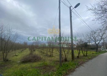 Foto 1 - Terreno agricolo saviano, Saviano - foto 1