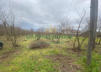 Foto 3 - Terreno agricolo saviano, Saviano - foto 3