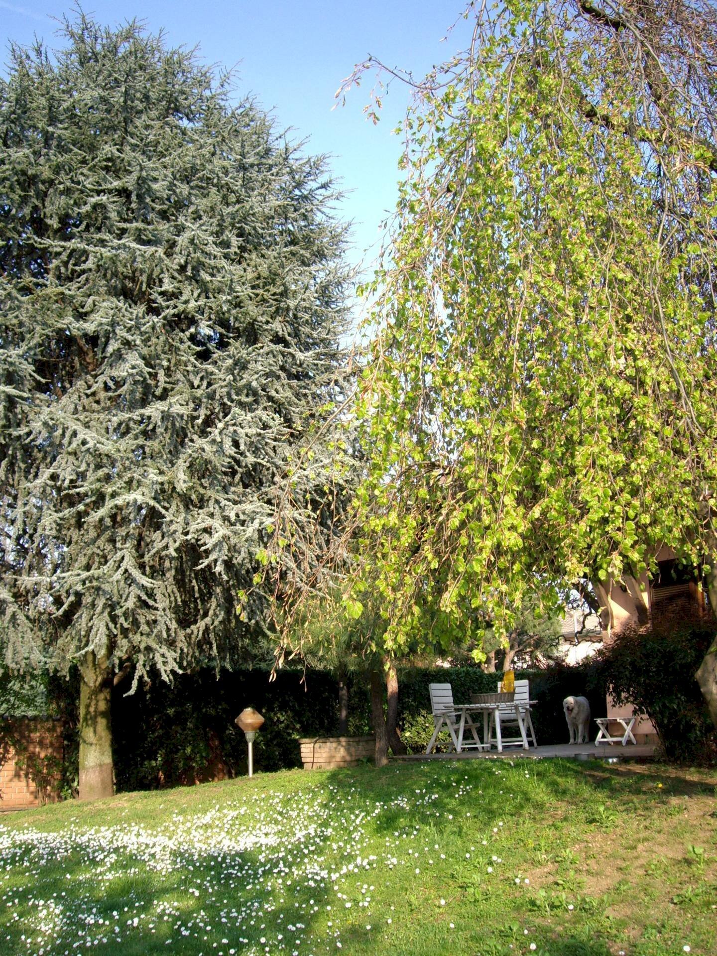 Foto 2 - Villa via Magenta
 
24, Cerro Maggiore - foto 2