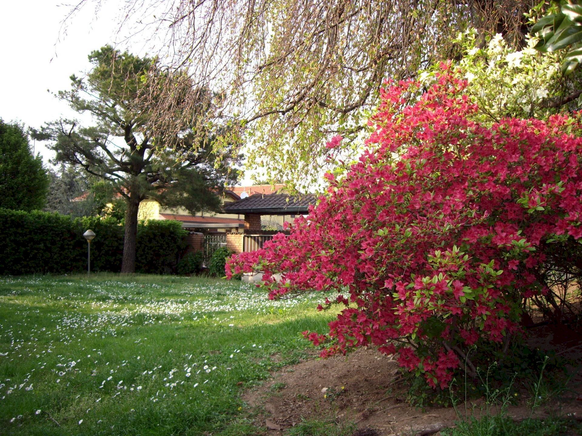 Foto 3 - Villa via Magenta
 
24, Cerro Maggiore - foto 3