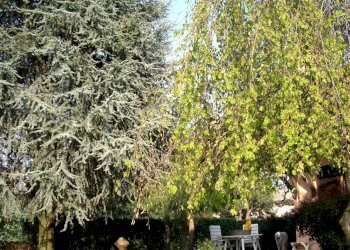 Foto 2 - Villa via Magenta
 
24, Cerro Maggiore - photo 2