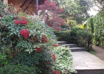 Foto 7 - Villa via Magenta
 
24, Cerro Maggiore - photo 7