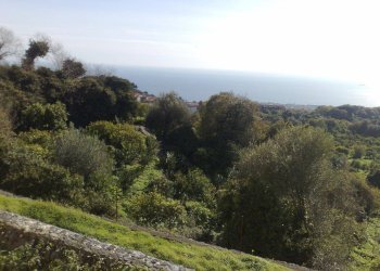 Foto 30 - Villa Via Casalrosato
 
19, Valverde - foto 30