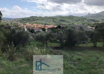 Foto 4 - Terreno agricolo Via Cupetelle, Cautano - foto 4