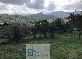 Foto 5 - Terreno agricolo Via Cupetelle, Cautano - foto 5