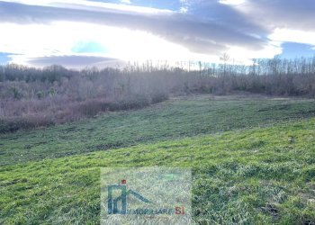 Foto 10 - Terreno agricolo Riccia - foto 10