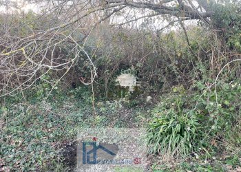 Foto 13 - Terreno agricolo Riccia - foto 13