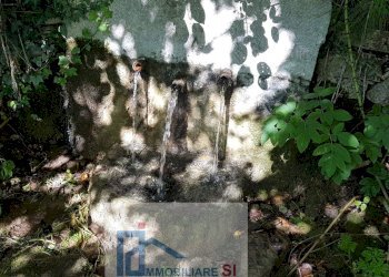 Foto 14 - Terreno agricolo Riccia - foto 14