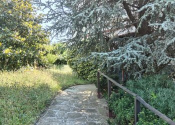 Foto 3 - Villa Stella - foto 3