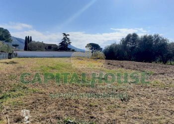 Foto 3 - Agricultural land Caserta - photo 3