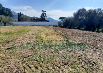 Foto 4 - Agricultural land Caserta - photo 4