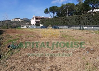 Foto 7 - Agricultural land Caserta - photo 7