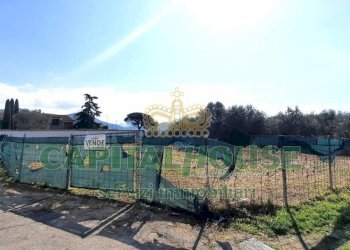 Foto 8 - Agricultural land Caserta - photo 8