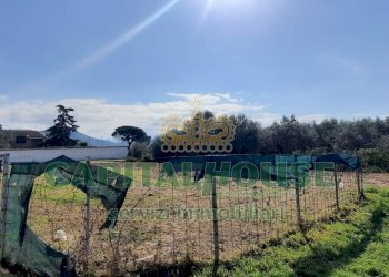 Foto 11 - Agricultural land Caserta - photo 11