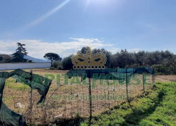 Foto 12 - Agricultural land Caserta - photo 12