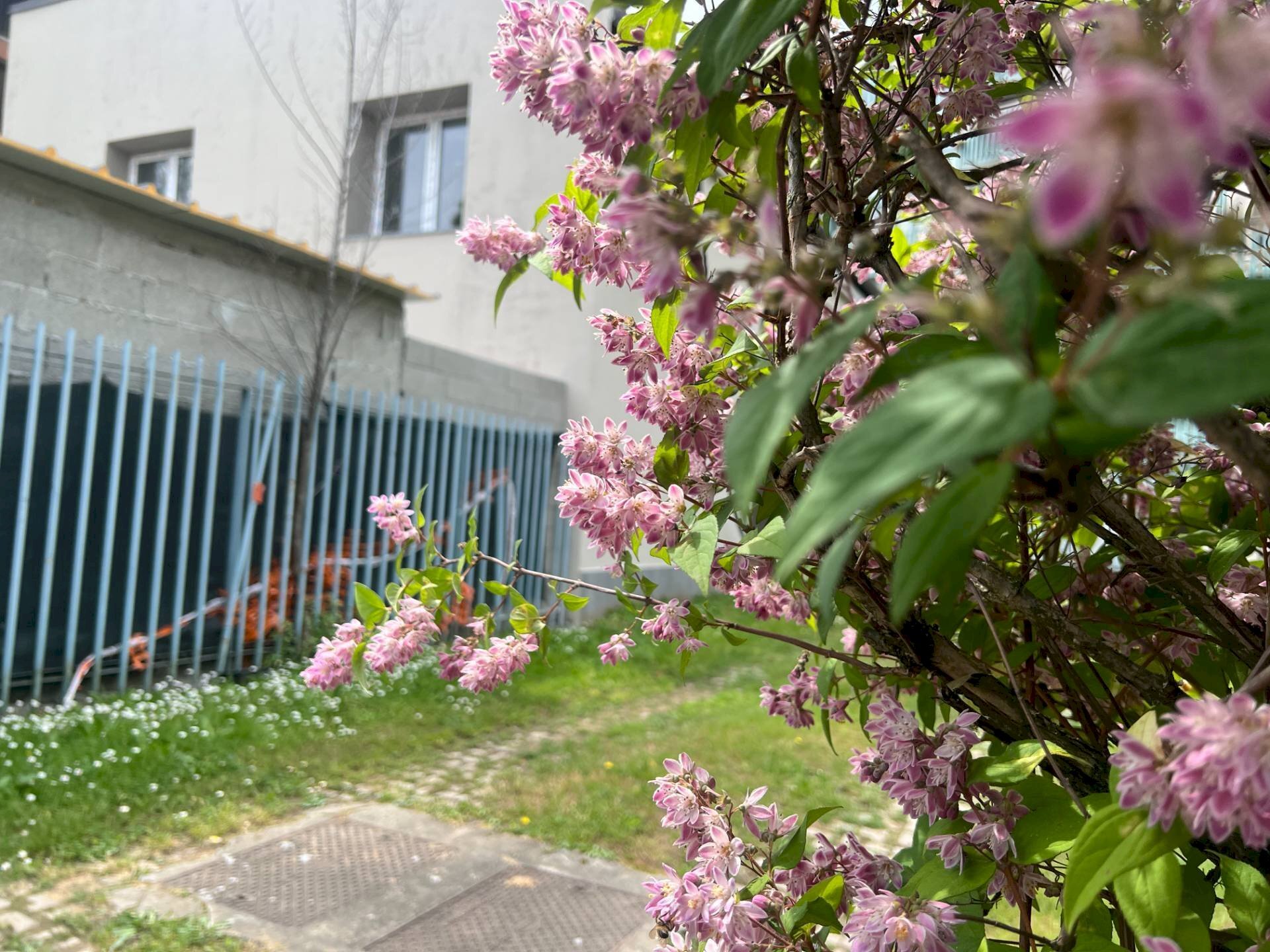 Foto 1 - Trilocale Via Mahatma Gandhi
 
3, Milano - foto 1