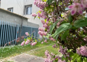 Foto 1 - Trilocale Via Mahatma Gandhi
3, Milano - foto 1