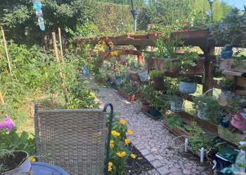 Giardino - Villa VIA SANDRO BOTTICELLI
 
78, Brugherio - foto 46