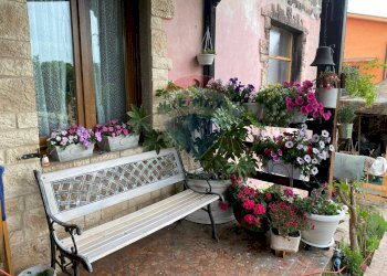 Giardino - Villa VIA SANDRO BOTTICELLI
 
78, Brugherio - foto 61