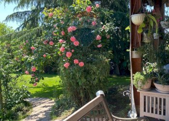 Terrazza - Villa VIA SANDRO BOTTICELLI
 
78, Brugherio - foto 62