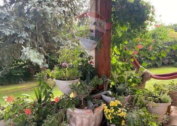 Giardino - Villa VIA SANDRO BOTTICELLI
 
78, Brugherio - foto 63