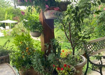 Giardino - Villa VIA SANDRO BOTTICELLI
 
78, Brugherio - foto 65