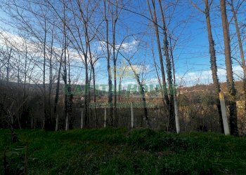 Foto 12 - Rustico via vadiaperti, Prata di Principato Ultra - foto 12