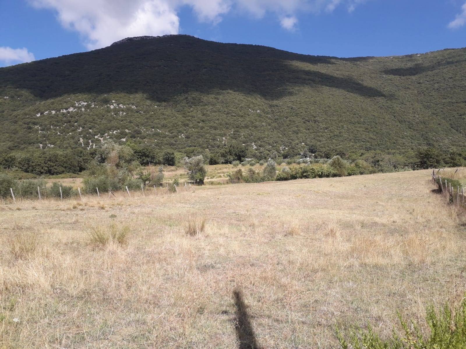 Foto 1 - Agricultural land via provinciale 13/A  trentinara
 
11, Capaccio Paestum - photo 1