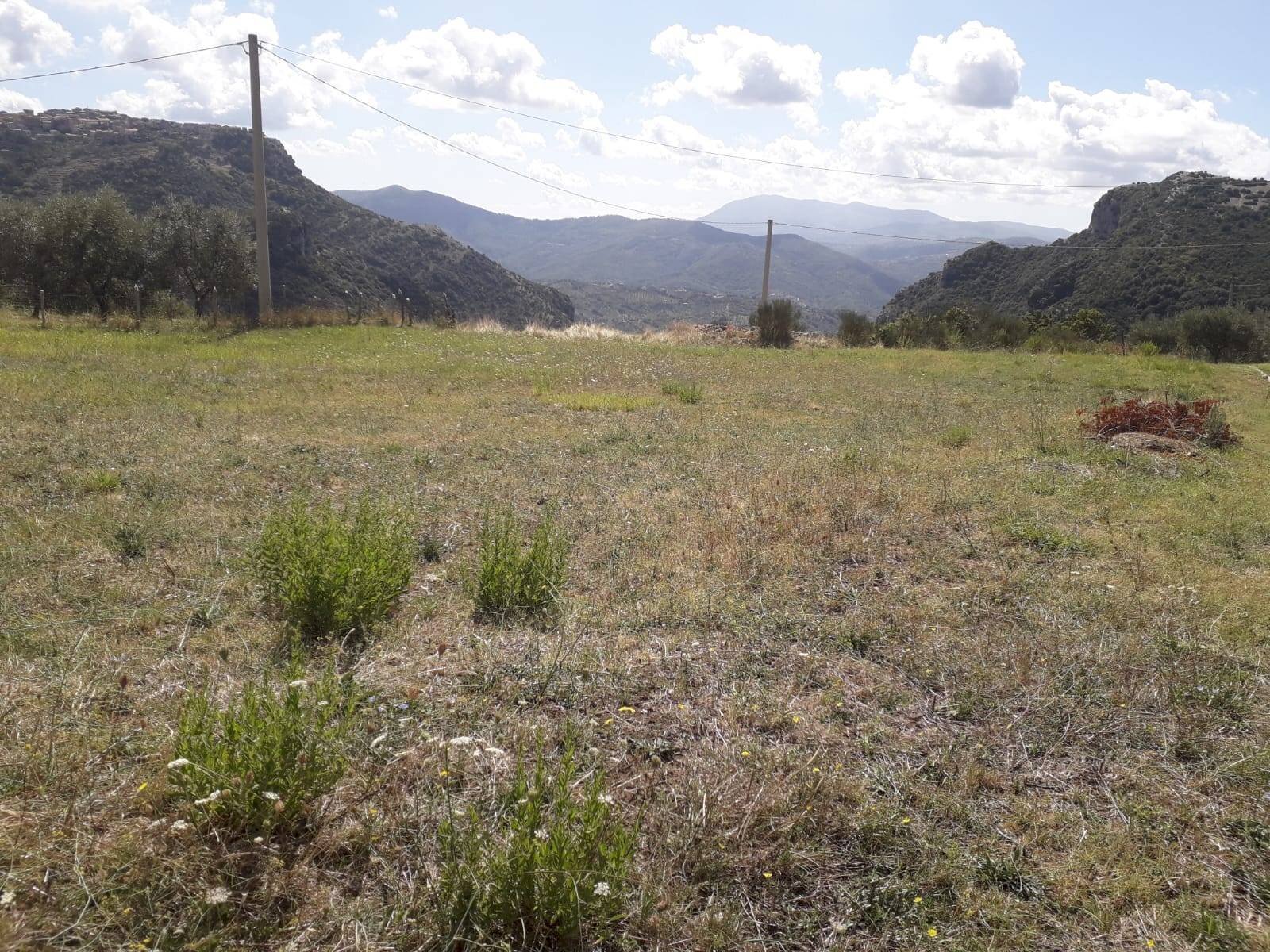 Foto 2 - Agricultural land via provinciale 13/A  trentinara
 
11, Capaccio Paestum - photo 2