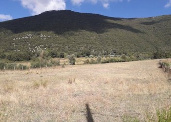 Foto 1 - Agricultural land via provinciale 13/A  trentinara
 
11, Capaccio Paestum - photo 1