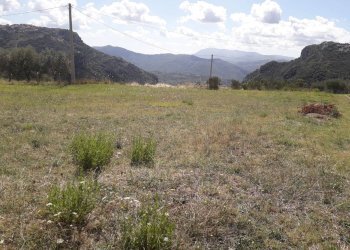 Foto 2 - Agricultural land via provinciale 13/A  trentinara
 
11, Capaccio Paestum - photo 2