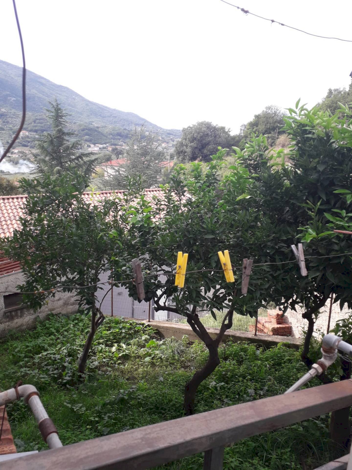 Foto 3 - Casa indipendente Albanella - foto 3