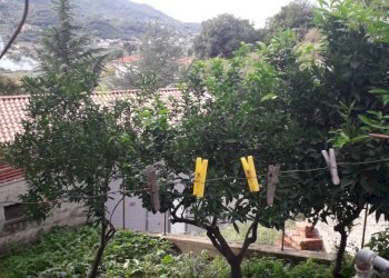 Foto 3 - Casa indipendente Albanella - foto 3