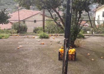 Foto 14 - Casa indipendente Albanella - foto 14