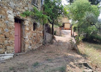 Foto 1 - Terreno agricolo Castel San Lorenzo - foto 1