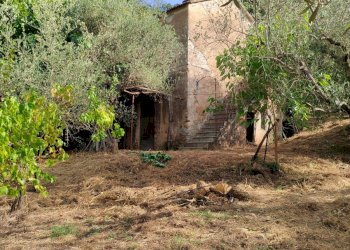 Foto 4 - Terreno agricolo Castel San Lorenzo - foto 4