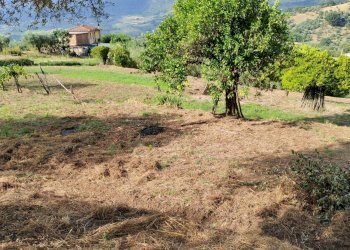 Foto 8 - Terreno agricolo Castel San Lorenzo - foto 8