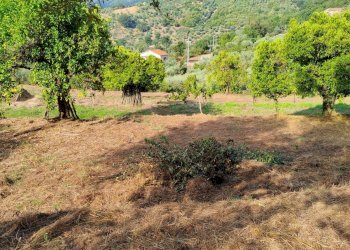 Foto 10 - Terreno agricolo Castel San Lorenzo - foto 10