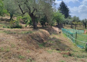 Foto 17 - Terreno agricolo Castel San Lorenzo - foto 17