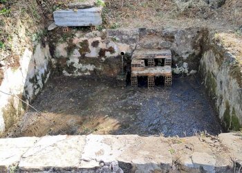 Foto 19 - Terreno agricolo Castel San Lorenzo - foto 19