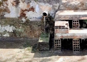 Foto 20 - Terreno agricolo Castel San Lorenzo - foto 20