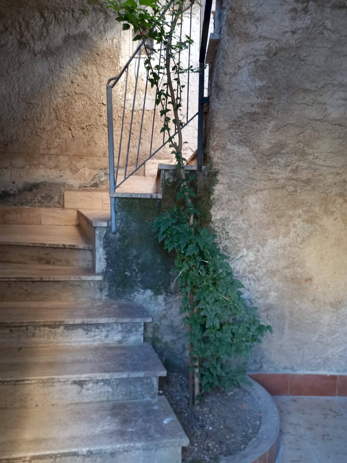 Foto 3 - Casa indipendente via scorzello
 
39, Capaccio Paestum - foto 3