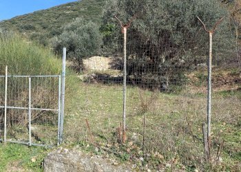 Foto 2 - Agricultural land via francesco sabia
 
nd, Capaccio Paestum - photo 2