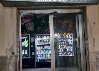 Foto 4 - Attività Commerciale Agropoli - foto 4